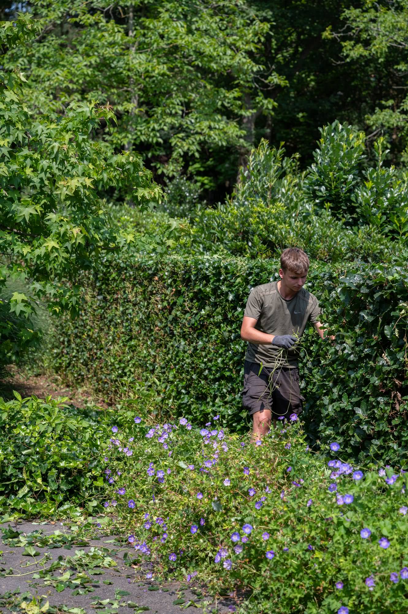 Vakmanschap in tuinaanleg: een perfect afgewerkte natuurlijke buitenruimte