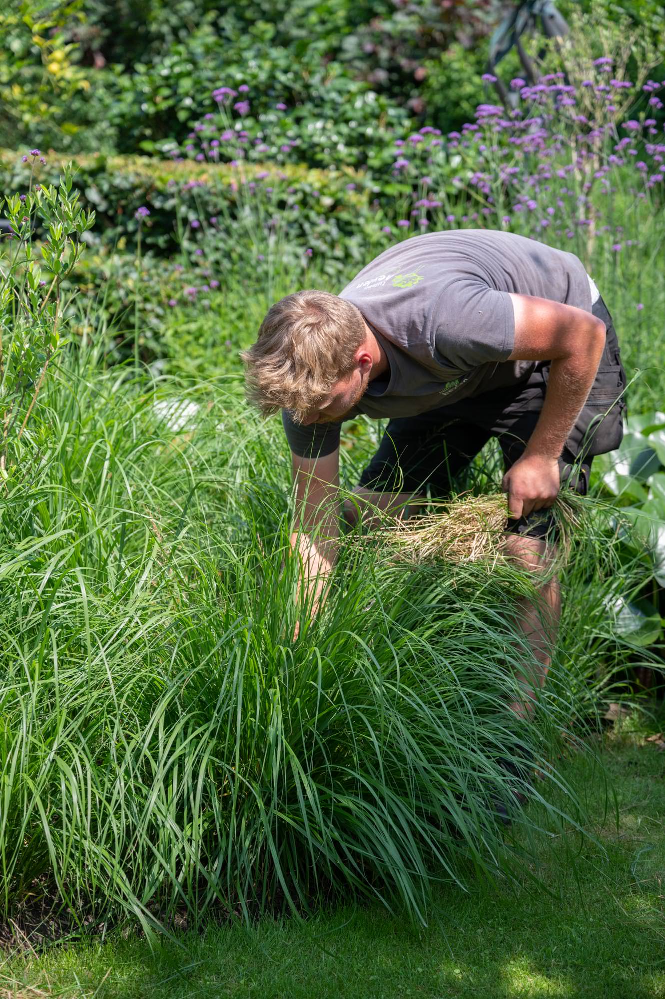 Professioneel aangelegde landschapstuin met ecologische visie